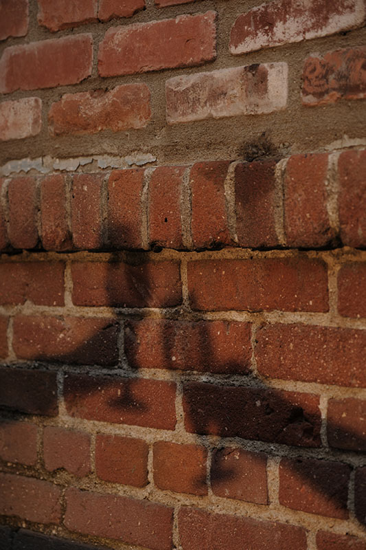 groupdinner-DSCF6615-55